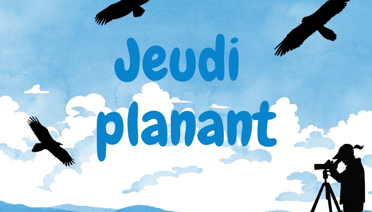 Jeudis planants : A la rencontre des vautours !